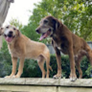 Meet your Posher, Debi